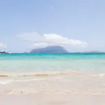 White شقة فندقية