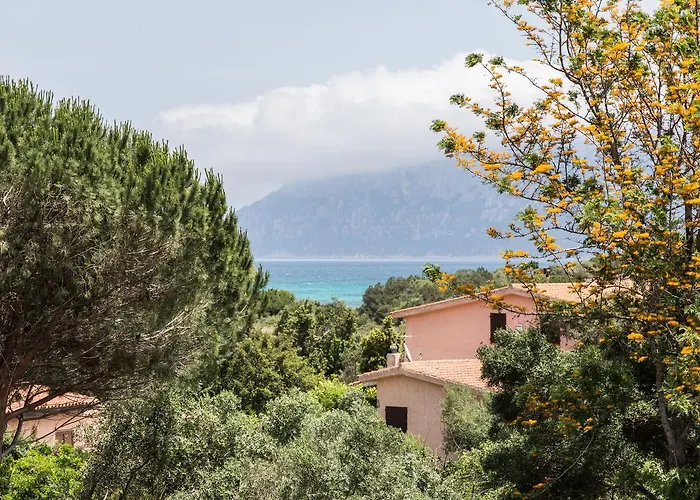 White Apartahotel 4*